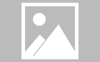 大连网页设计英文默认字体（网页设置英文转换中文）
